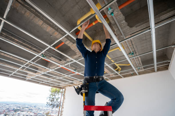 Best Best Plumbers Near Me  in Purdy, MO