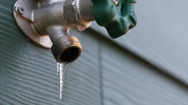 Best Clogged Drain Plumber  in Purdy, MO