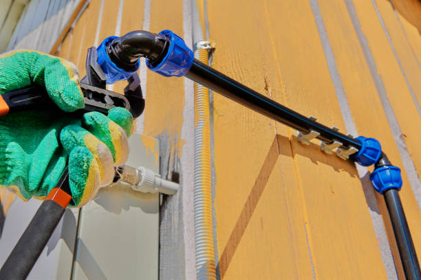 Best Local Plumber Services  in Purdy, MO